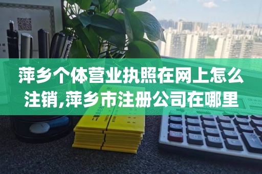 萍乡个体营业执照在网上怎么注销,萍乡市注册公司在哪里