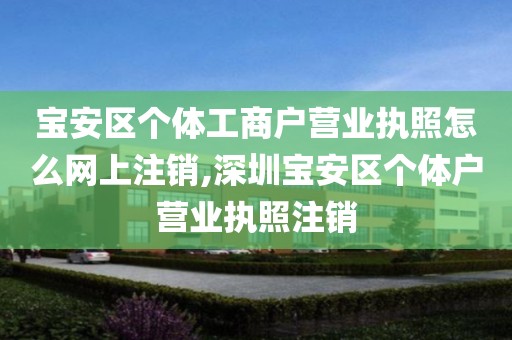 宝安区个体工商户营业执照怎么网上注销,深圳宝安区个体户营业执照注销