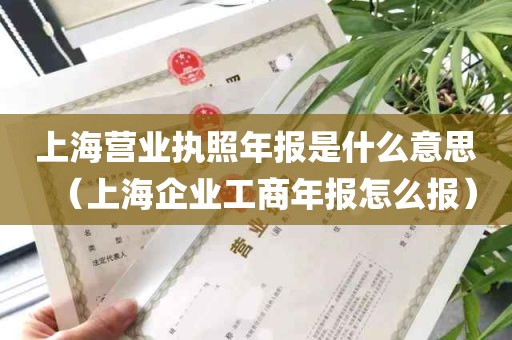 上海营业执照年报是什么意思（上海企业工商年报怎么报）