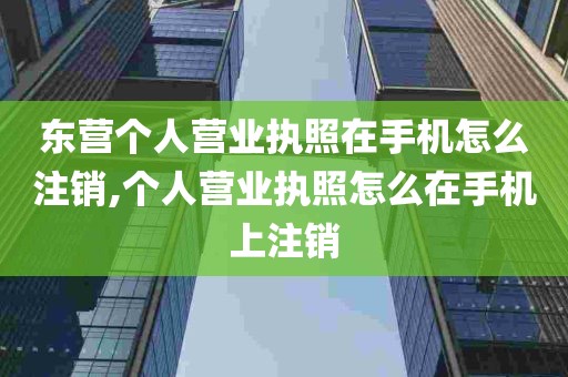 东营个人营业执照在手机怎么注销,个人营业执照怎么在手机上注销