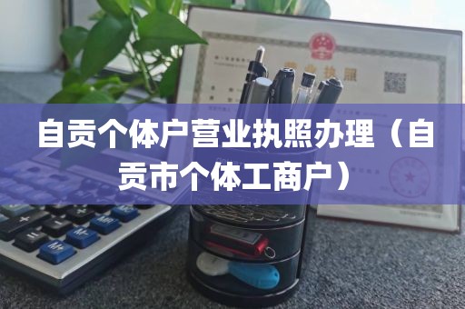 自贡个体户营业执照办理（自贡市个体工商户）