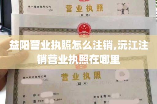 益阳营业执照怎么注销,沅江注销营业执照在哪里