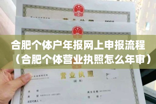 合肥个体户年报网上申报流程（合肥个体营业执照怎么年审）