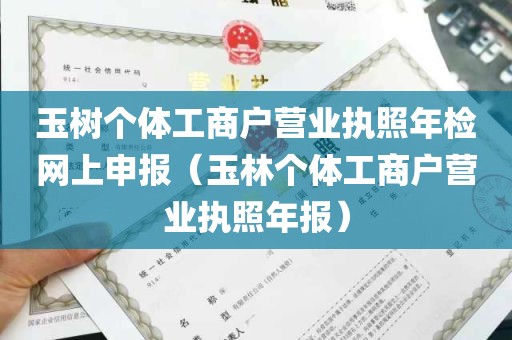 玉树个体工商户营业执照年检网上申报（玉林个体工商户营业执照年报）