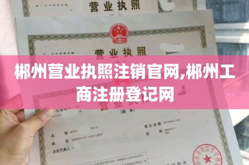 郴州营业执照注销官网,郴州工商注册登记网