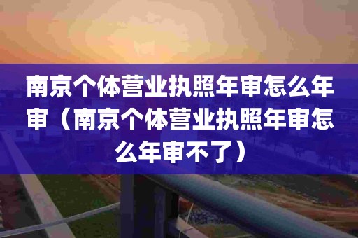 南京个体营业执照年审怎么年审（南京个体营业执照年审怎么年审不了）