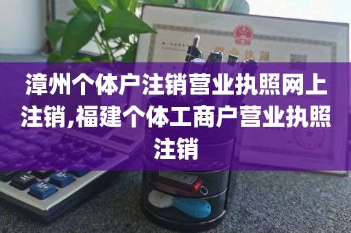 漳州个体户注销营业执照网上注销,福建个体工商户营业执照注销