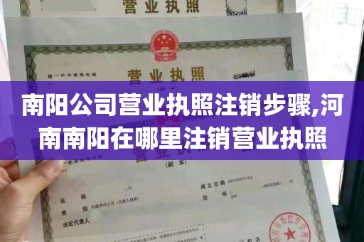 南阳公司营业执照注销步骤,河南南阳在哪里注销营业执照