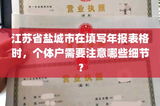 江苏省盐城市在填写年报表格时，个体户需要注意哪些细节？