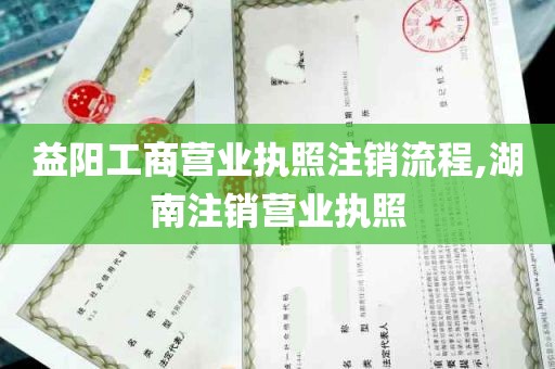 益阳工商营业执照注销流程,湖南注销营业执照