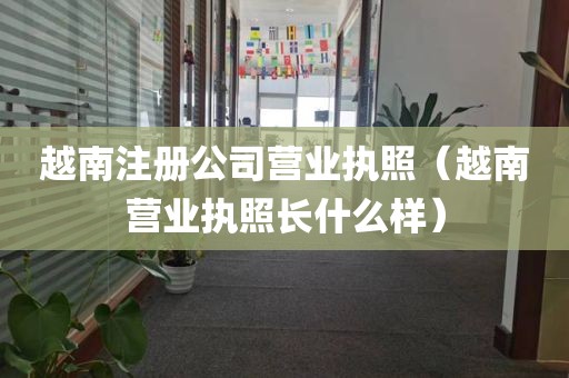 越南注册公司营业执照（越南营业执照长什么样）