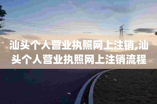 汕头个人营业执照网上注销,汕头个人营业执照网上注销流程