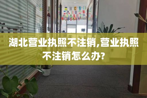 湖北营业执照不注销,营业执照不注销怎么办?