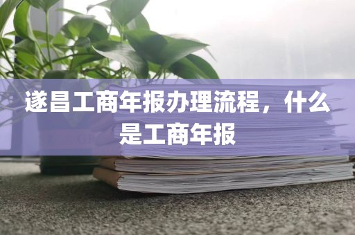 遂昌工商年报办理流程，什么是工商年报