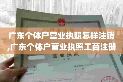 广东个体户营业执照怎样注销,广东个体户营业执照工商注册