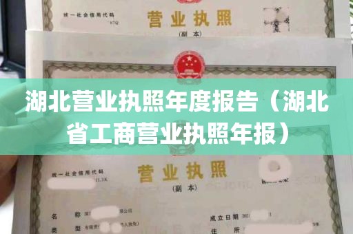 湖北营业执照年度报告（湖北省工商营业执照年报）