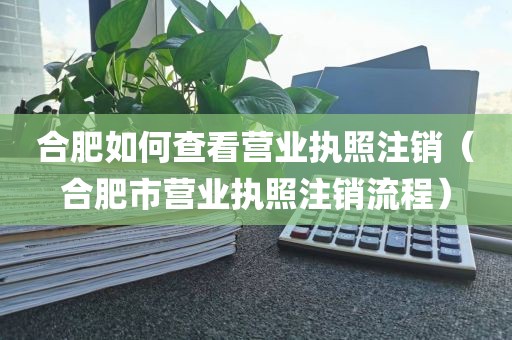 合肥如何查看营业执照注销（合肥市营业执照注销流程）