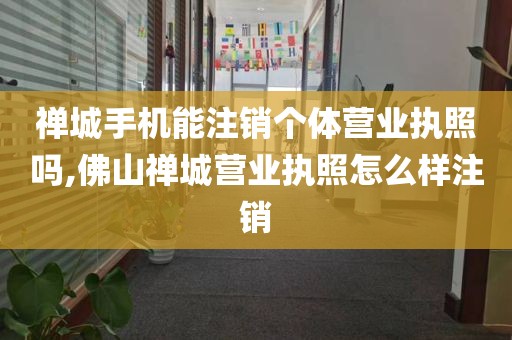 禅城手机能注销个体营业执照吗,佛山禅城营业执照怎么样注销