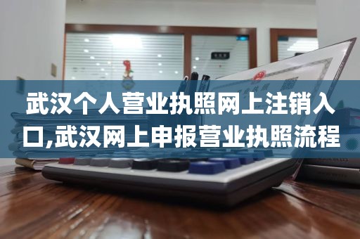 武汉个人营业执照网上注销入口,武汉网上申报营业执照流程