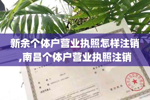 新余个体户营业执照怎样注销,南昌个体户营业执照注销