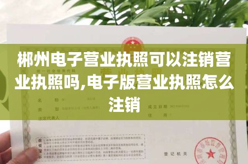 郴州电子营业执照可以注销营业执照吗,电子版营业执照怎么注销