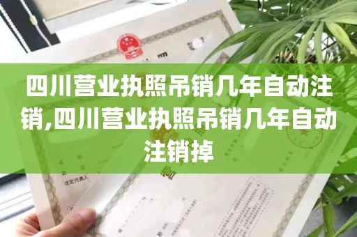 四川营业执照吊销几年自动注销,四川营业执照吊销几年自动注销掉