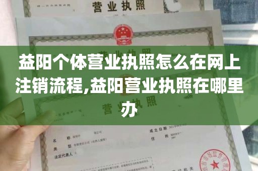 益阳个体营业执照怎么在网上注销流程,益阳营业执照在哪里办