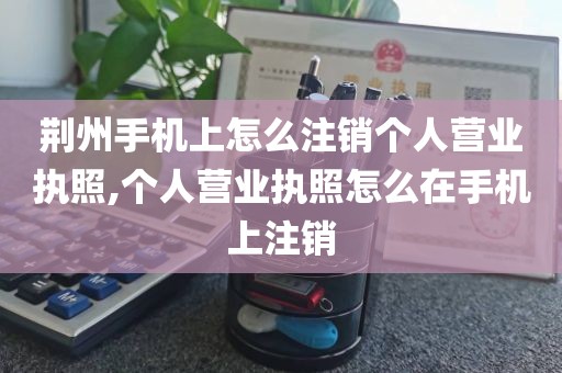 荆州手机上怎么注销个人营业执照,个人营业执照怎么在手机上注销