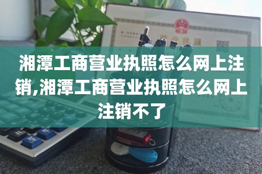 湘潭工商营业执照怎么网上注销,湘潭工商营业执照怎么网上注销不了