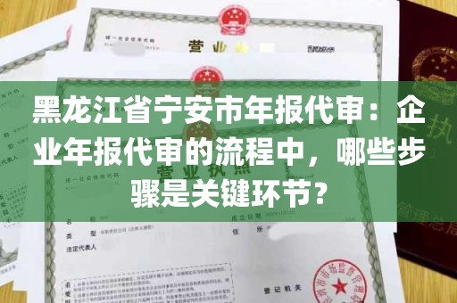 黑龙江省宁安市年报代审：企业年报代审的流程中，哪些步骤是关键环节？