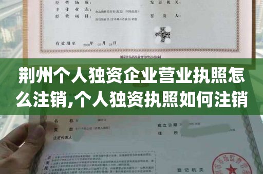 荆州个人独资企业营业执照怎么注销,个人独资执照如何注销