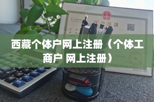 西藏个体户网上注册（个体工商户 网上注册）