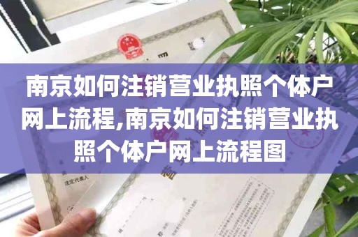 南京如何注销营业执照个体户网上流程,南京如何注销营业执照个体户网上流程图