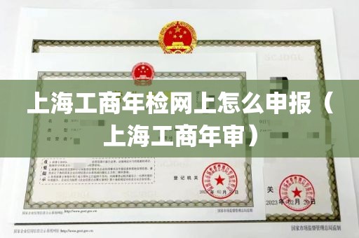 上海工商年检网上怎么申报（上海工商年审）