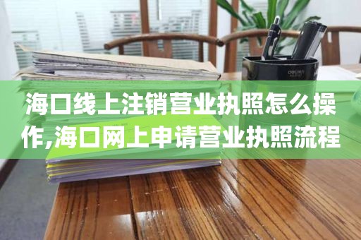 海口线上注销营业执照怎么操作,海口网上申请营业执照流程