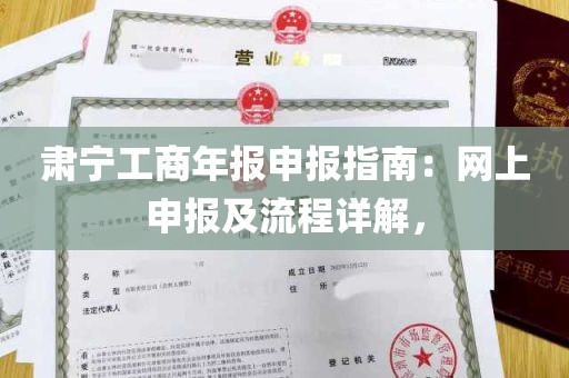 肃宁工商年报申报指南：网上申报及流程详解，