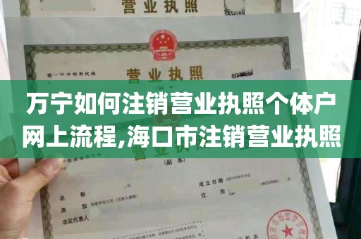 万宁如何注销营业执照个体户网上流程,海口市注销营业执照