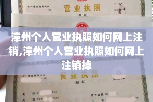 漳州个人营业执照如何网上注销,漳州个人营业执照如何网上注销掉