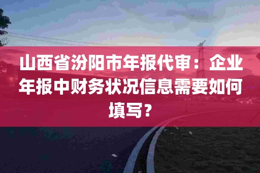 山西省汾阳市年报代审：企业年报中财务状况信息需要如何填写？