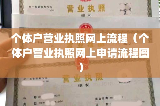 个体户营业执照网上流程（个体户营业执照网上申请流程图）