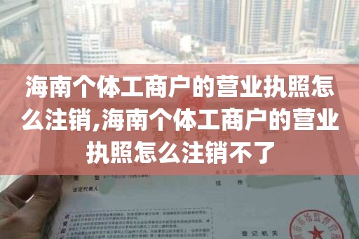 海南个体工商户的营业执照怎么注销,海南个体工商户的营业执照怎么注销不了