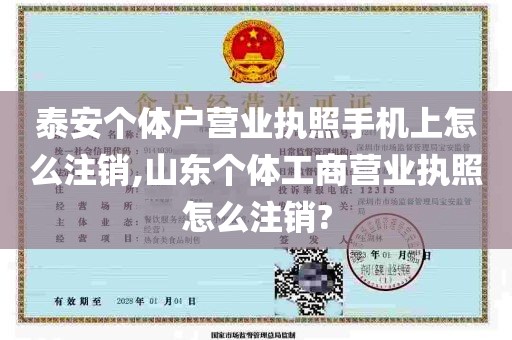 泰安个体户营业执照手机上怎么注销,山东个体工商营业执照怎么注销?