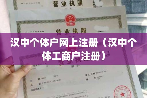 汉中个体户网上注册（汉中个体工商户注册）