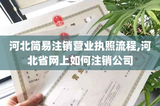 河北简易注销营业执照流程,河北省网上如何注销公司