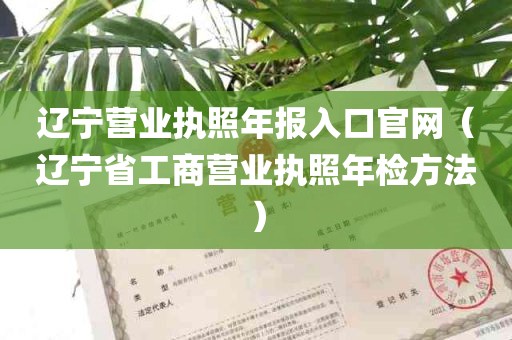 辽宁营业执照年报入口官网（辽宁省工商营业执照年检方法）