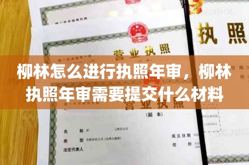 柳林怎么进行执照年审，柳林执照年审需要提交什么材料