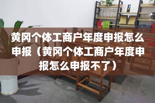 黄冈个体工商户年度申报怎么申报（黄冈个体工商户年度申报怎么申报不了）