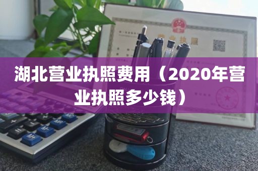 湖北营业执照费用（2020年营业执照多少钱）