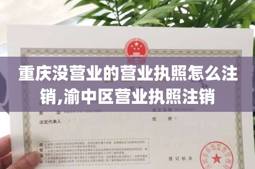 重庆没营业的营业执照怎么注销,渝中区营业执照注销