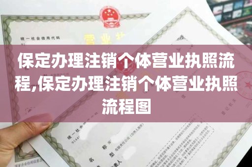 保定办理注销个体营业执照流程,保定办理注销个体营业执照流程图